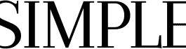 Logo Mesh