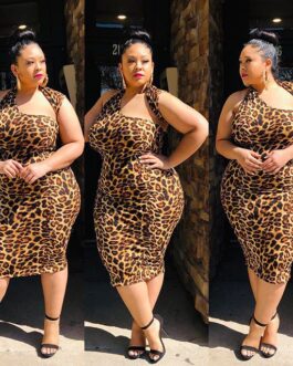 Plus Size Summer Leopard Print Irregular Asymmetric Collar Sexy Dress