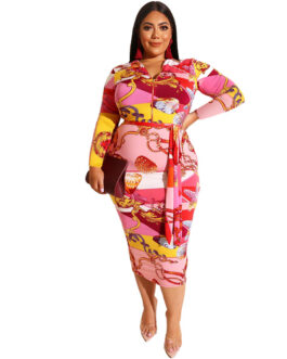 Plus Size Printed Skinny Sheath Zipper Front Back Wearable  Dress