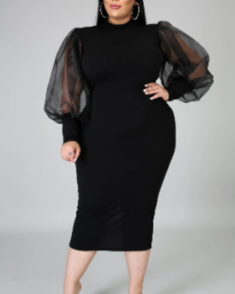 Plus Size Women Clothes Mesh See Through Lantern Sleeve Dress Sheath Colors