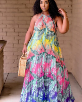 Plus Size Digital Printing Large Swing Dress Dress Women Clothing
