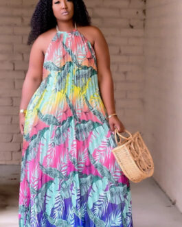 Plus Size Digital Printing Large Swing Dress Dress Women Clothing