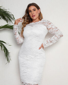 Plus Size Evening Dress Short Skinny Lace Dress