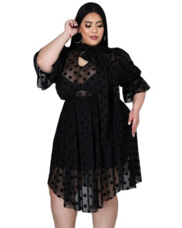 Plus Size Popular  Sexy See-through Mesh Hollow Out Cutout Dress for Women