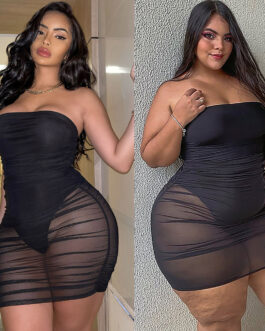 Plus Size Sexy  Big Brand Sheer Mesh Tight Slim Dress Dress