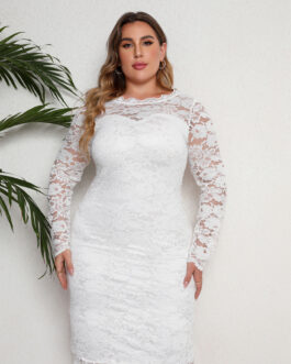Plus Size Evening Dress Short Skinny Lace Dress