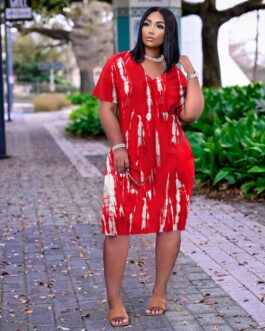 Plus Size Women Clothing Classic Printing Dress