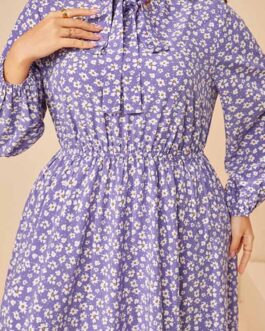 Plus Size Youthful Looking Broken Simple Elastic Waist Printed Dress Women