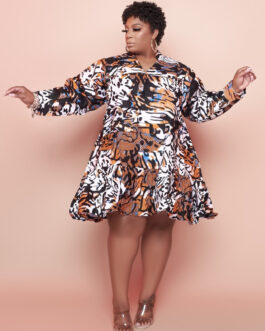 Plus Size Autumn  Loose Printed V Neck Long Sleeve  Dress